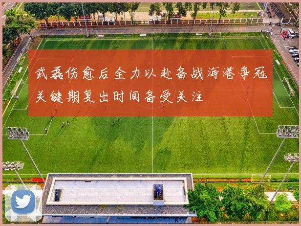 武磊伤愈后全力以赴备战海港争冠关键期复出时间备受关注